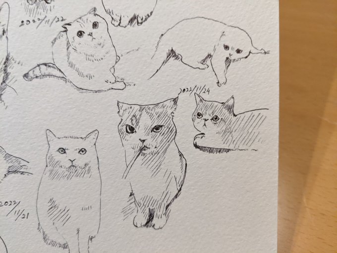 日本大金星〜 感動をありがとう カキカキ。 