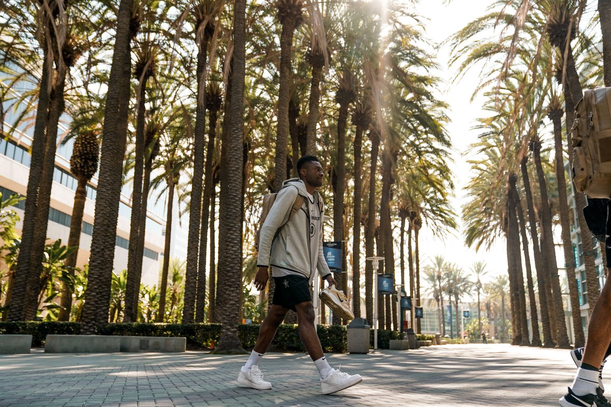 Vanderbilt Men's Basketball on Twitter "issa vibe."