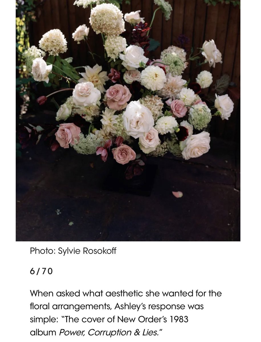 Ashley Reese tweet media