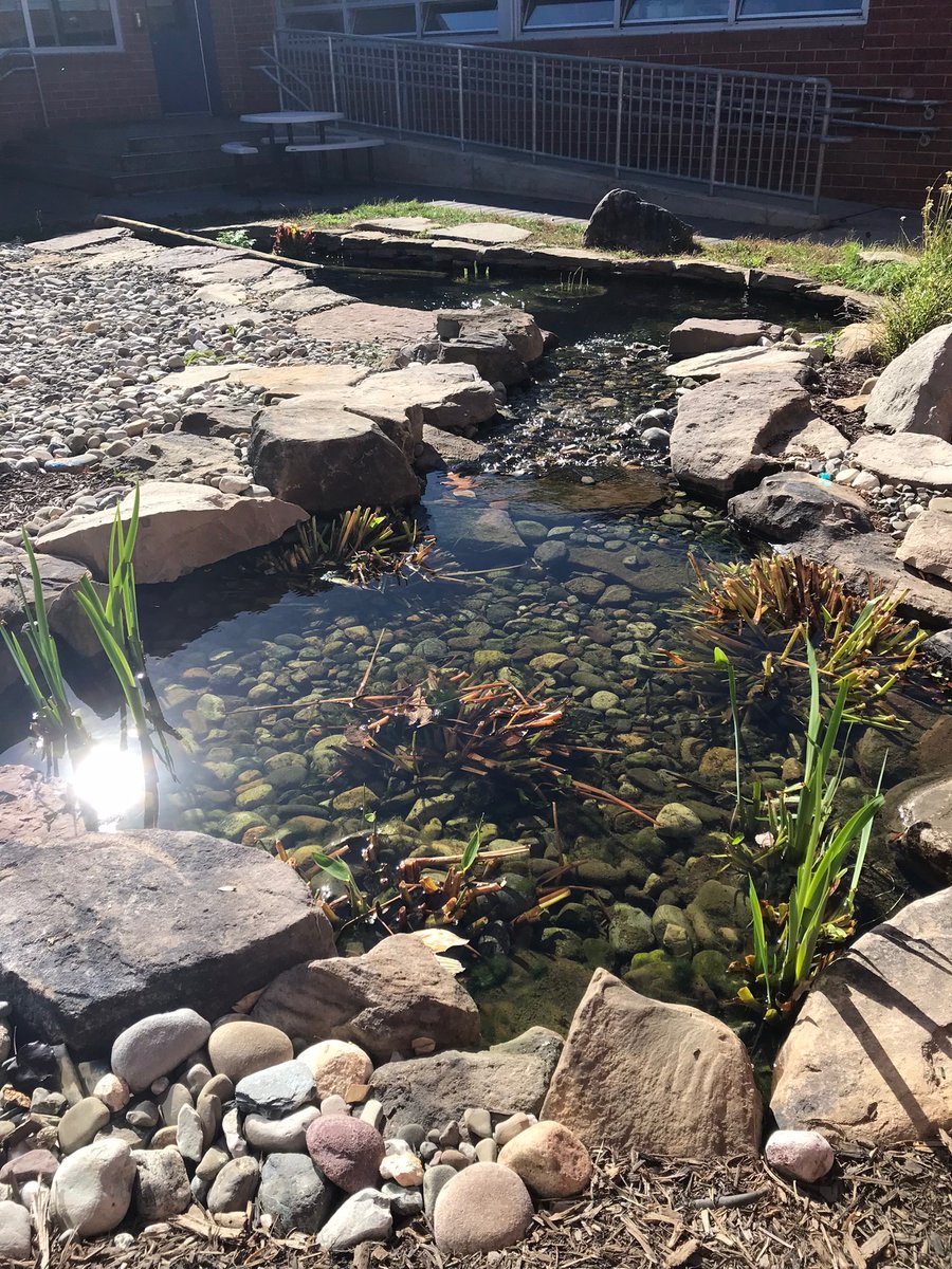 Happy Thanksgiving! 🍁 Love our beautiful school! <a href="/haycockcougar/">Haycock Elementary</a>