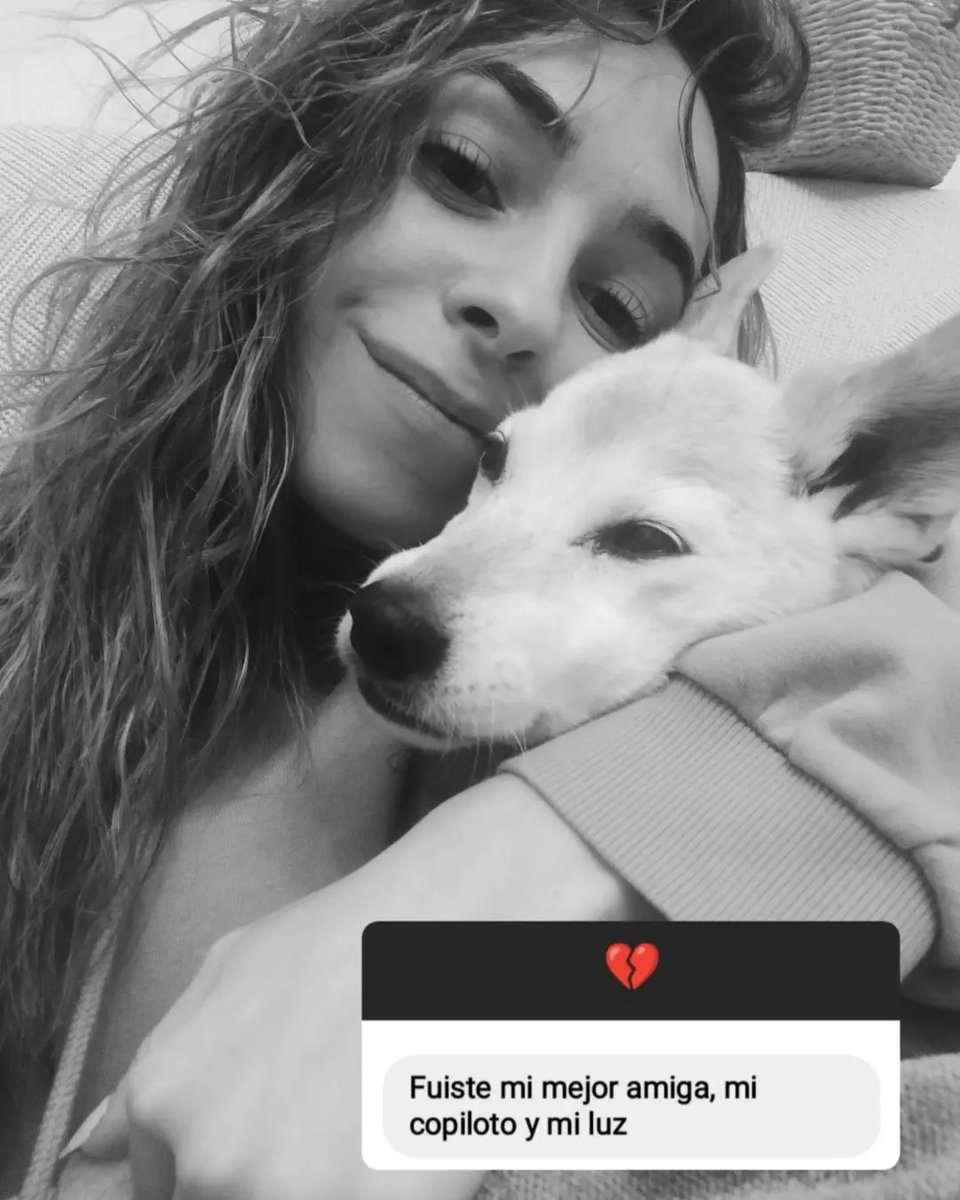 martaaluquee's tweet photo. Hasta siempre, (C)ampeona 🕊❤✨ https://t.co/RZqiVeYbar