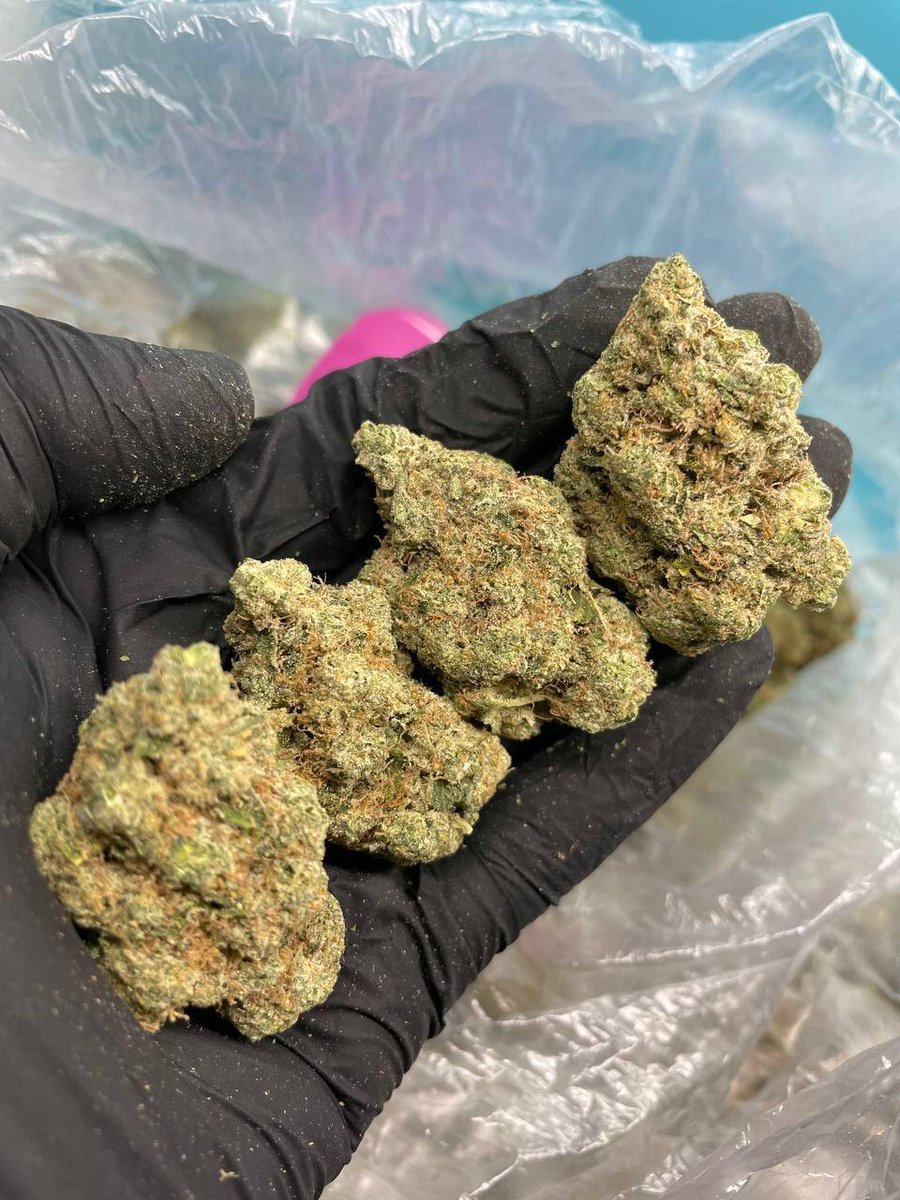 MrPsychaholic's tweet photo. Guess that strain https://t.co/ZgTORw6mch