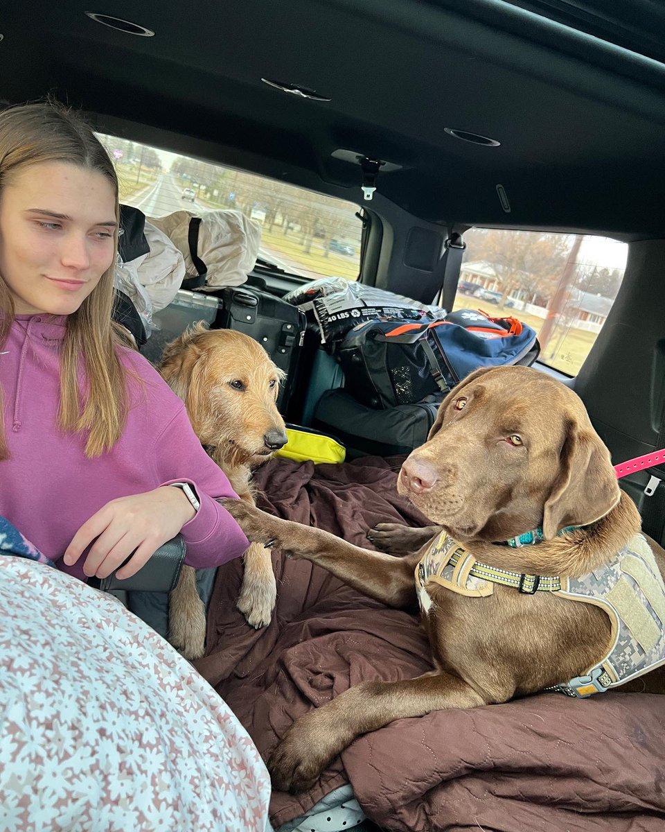 rlangenhorst's tweet photo. Thankful is a doggo who gets to come along on the family road trip. #murphdog #chuck https://t.co/kpjoerPAbE