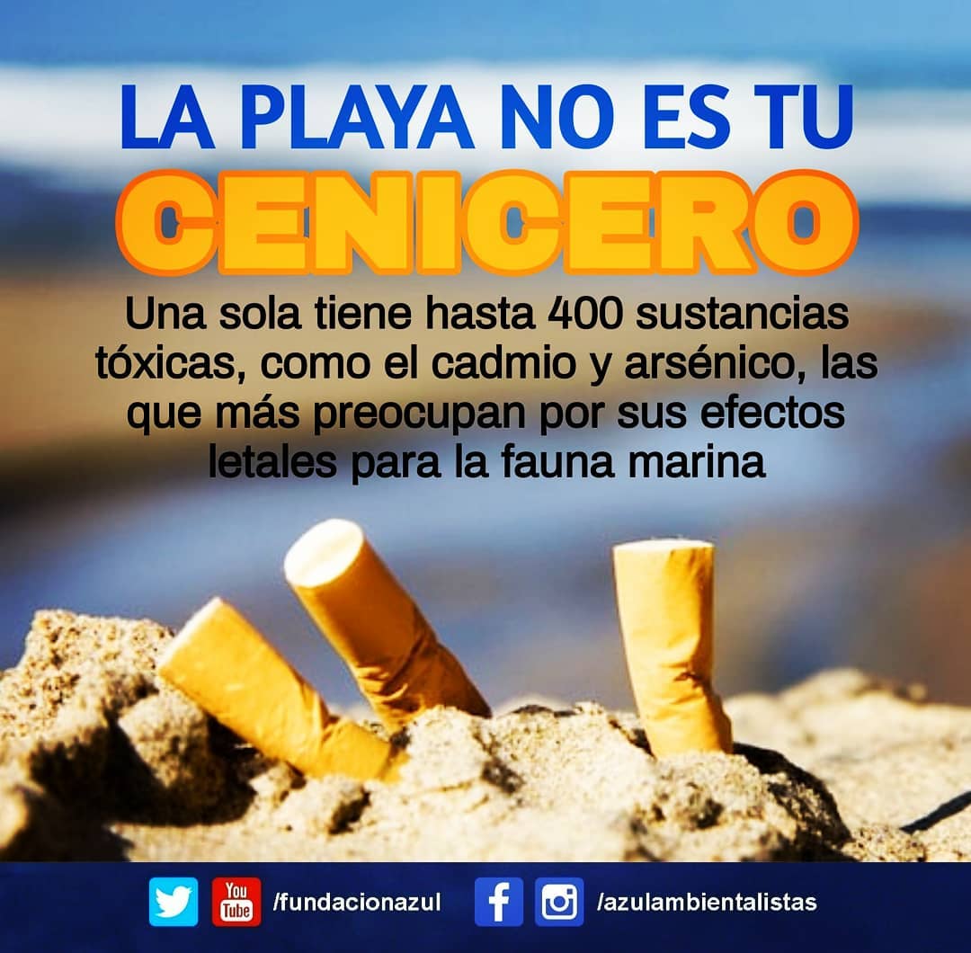 Dejar #ColillasDeCigarros en la playa es una práctica que carece de regulación. Muy perjudiciales porque son uno de los elementos que contaminan los #Océanos. Hechas de acetato de celulosa (derivado del petróleo) es un #Plástico no biodegradable. #LaPlayaNoEsTuCenicero 🏖️🚫🚬