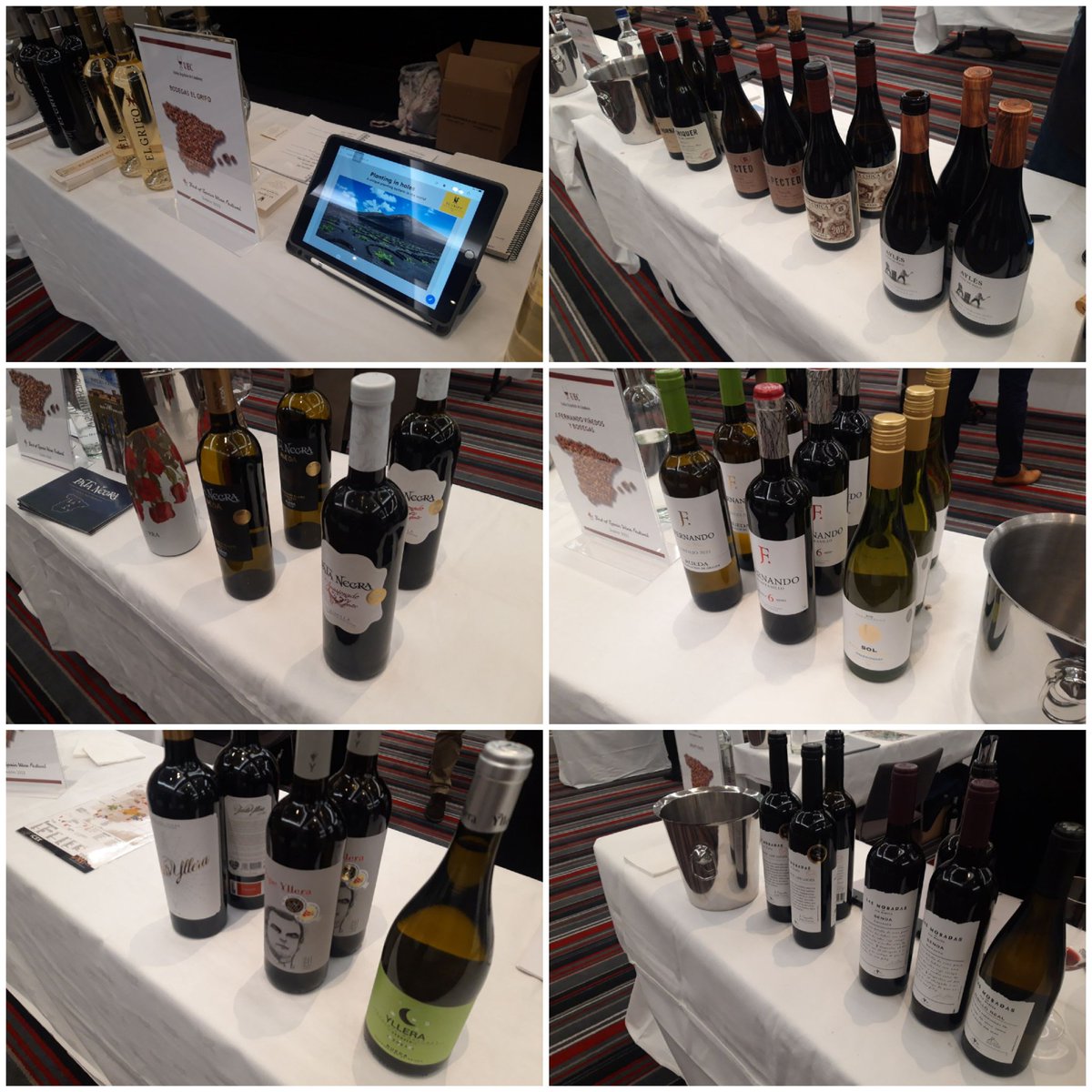 Bestofspainwine's tweet photo. When more than 50 🔝 importers, communicators, critics and sommeliers attend an event such as #BestofSpain Wine Festival #Dublin you know you have worked with one of the best. Thanks @smullenj for your work 👏🥂 Great to show Spain wine country to this 🔝 audience https://t.co/fMNCuWMbXB