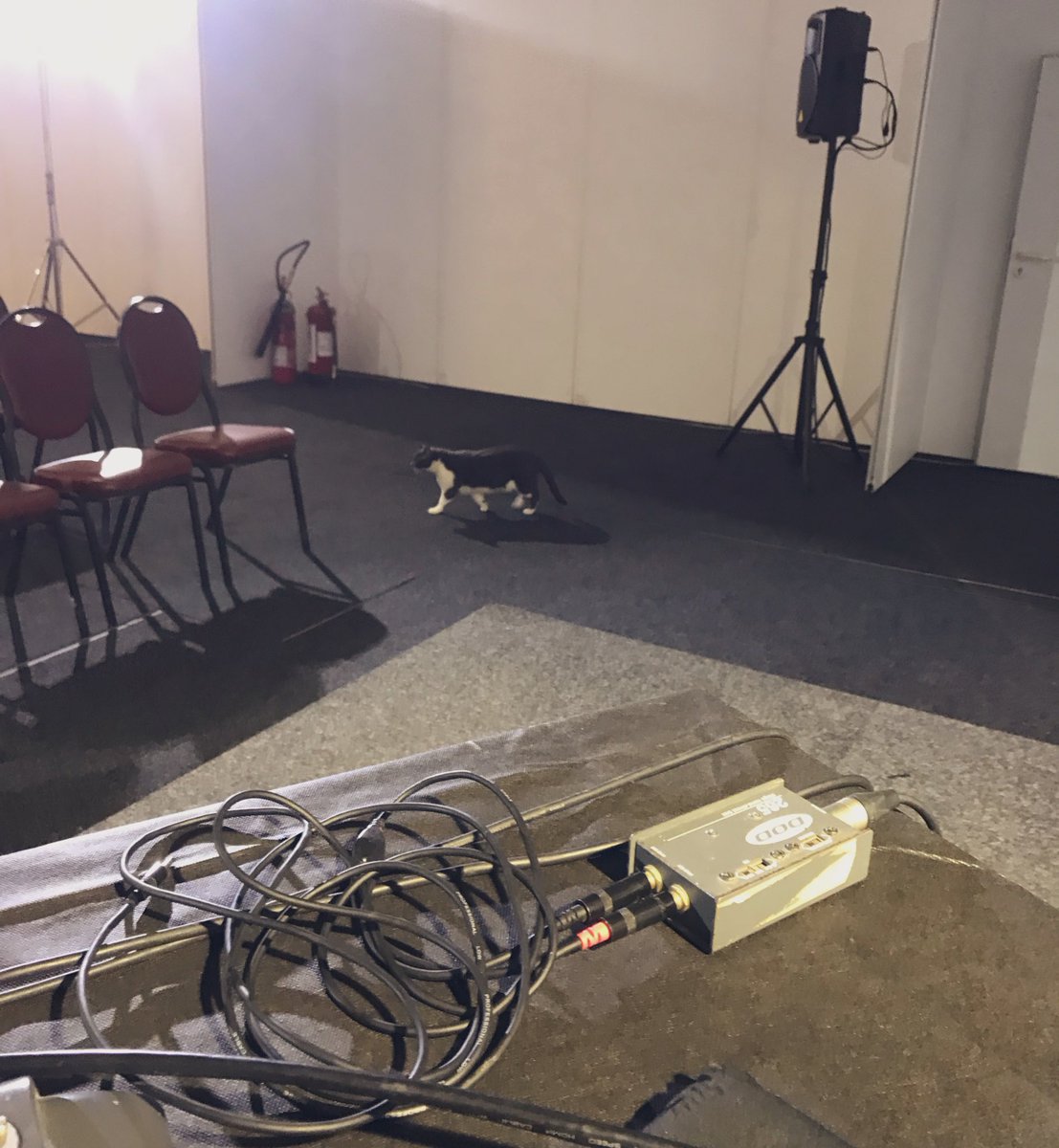 wikimalta's tweet photo. Our editing workshops are open to all🐈‍⬛ 💻 https://t.co/kvIhbVUHk7
