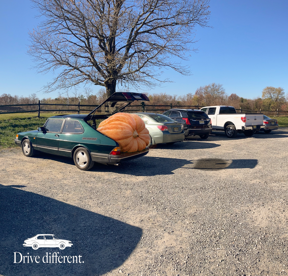 Robert Hakalski tweet media