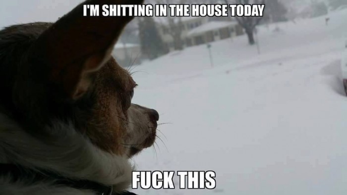 SethFromThe716's tweet photo. #WhenItsTooColdOutside, I ain't going out there. https://t.co/pmpwLgnZmP