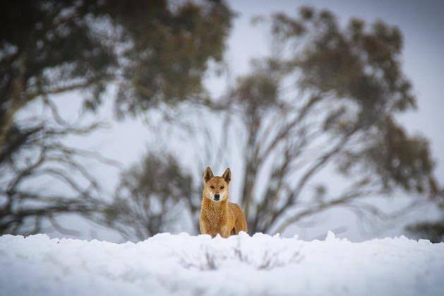 James Vandersteen tweet media