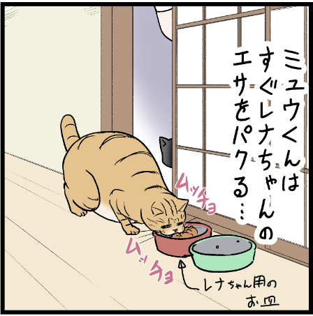 ミュウくんの極悪非道な行い!!
 #ニャンコ #まんが #猫 #猫あるある #猫漫画 #ペット #飼い主 #エッセイ漫画 #キャット #猫のいる暮らし 