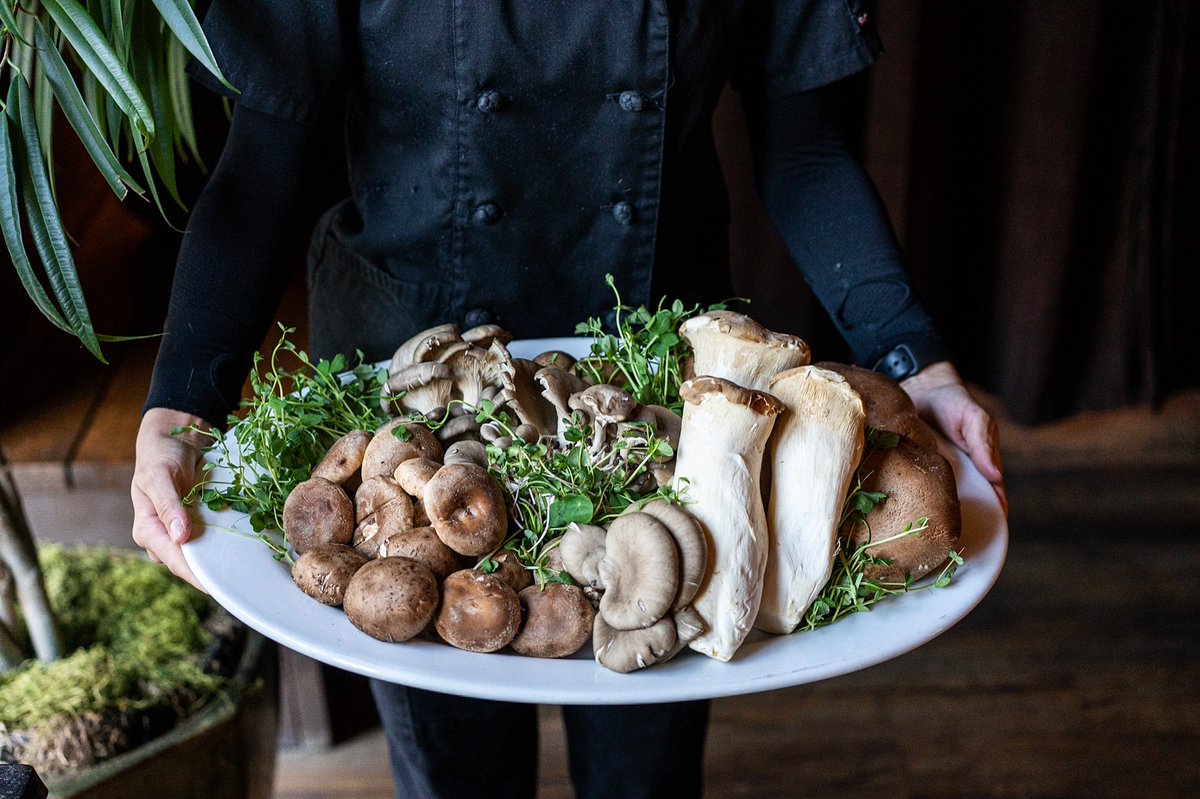 russellsbothell's tweet photo. What a beautiful sight! We present six different types of mushrooms, used throughout our Northwest inspired menu. 🍄✨ #RussellsRestaurant https://t.co/4DGia6V4n0