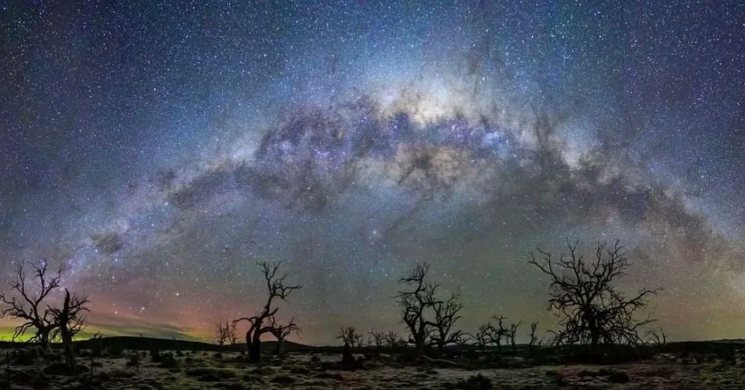 ScienceAlert on Twitter "Here, skeletons of cider gum reach up to the Milky Way under the glow