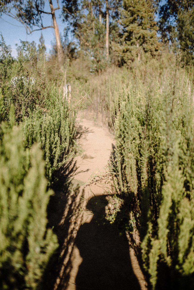 <a href="/pazseravilo/">Paz Olivares Droguett</a> for The World Today✨

Between the sea and the sky.