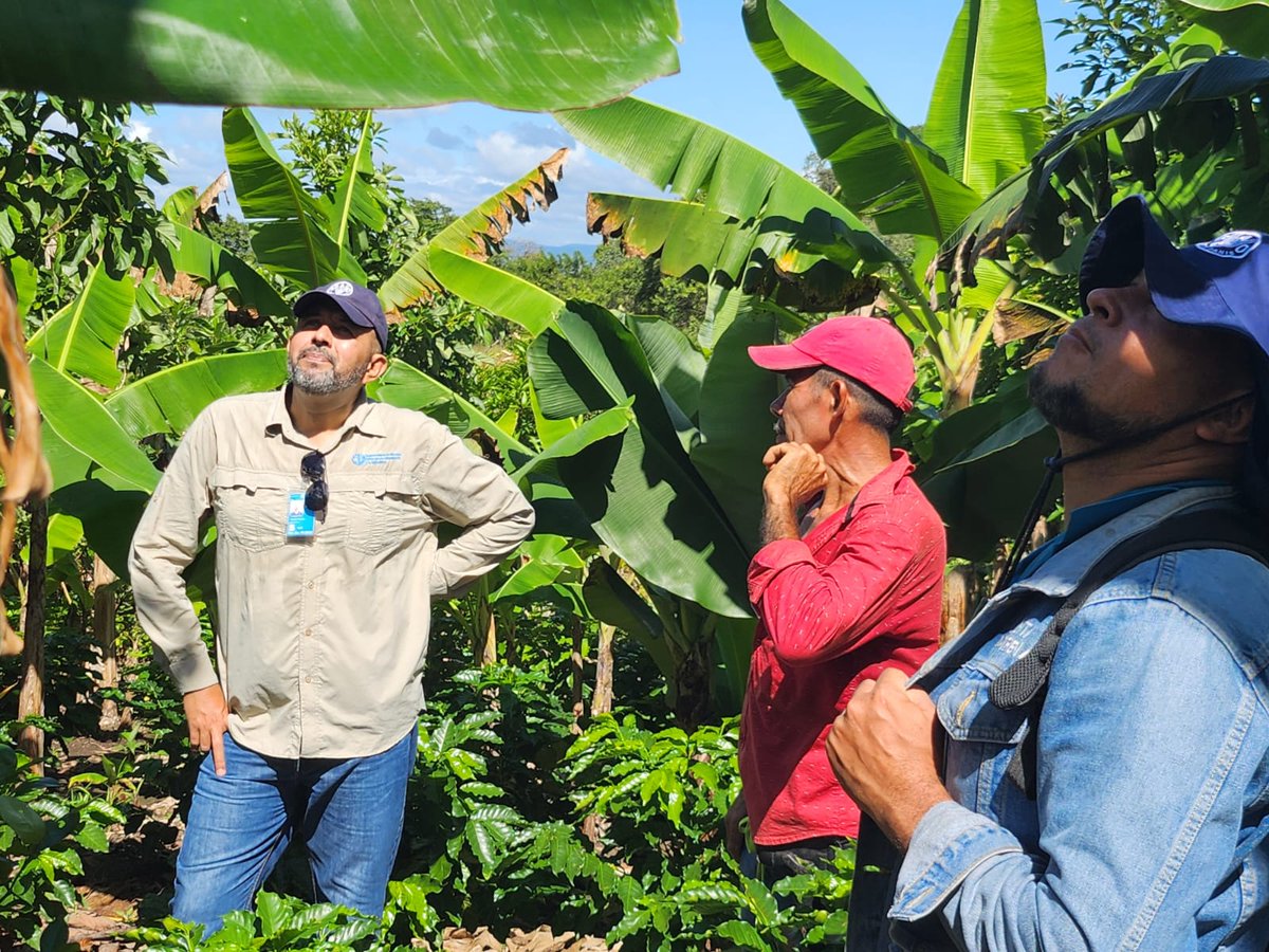 🇳🇮<a href="/israelrios1/">Mashca</a>, Oficial de Nutrición de <a href="/FAO/">Food and Agriculture Organization</a>, visitó el municipio de Teustepe, en Nicaragua, donde dialogaron sobre avances y desafíos para alcanzar dietas saludables, con productores, productoras y actores relevantes que trabajan para una #MejorNutrición en este país.