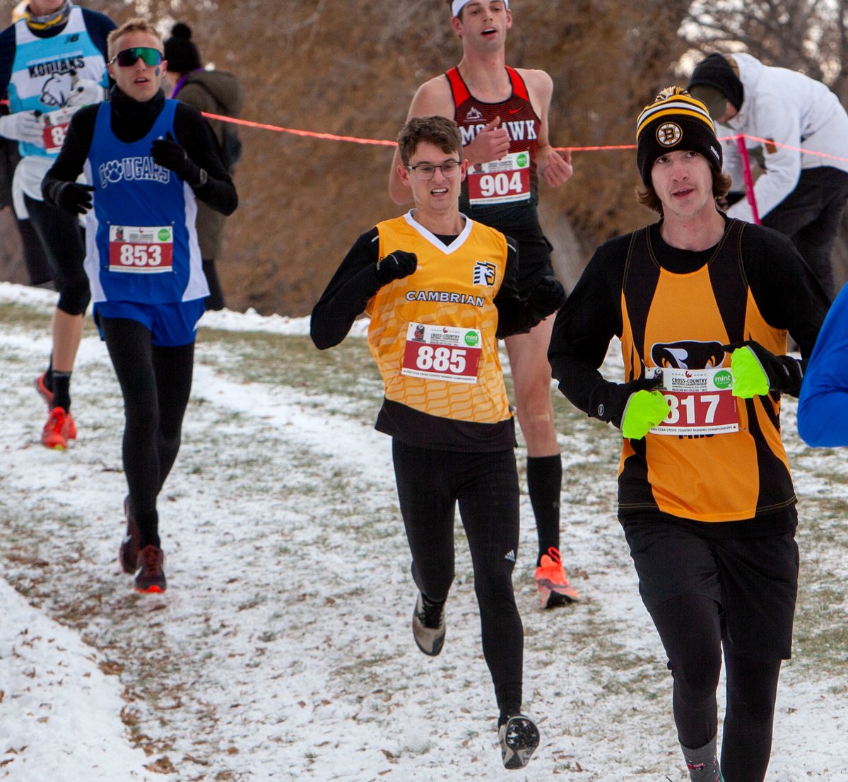 SudburyStar on Twitter "Cambrian College crosscountry runner ends