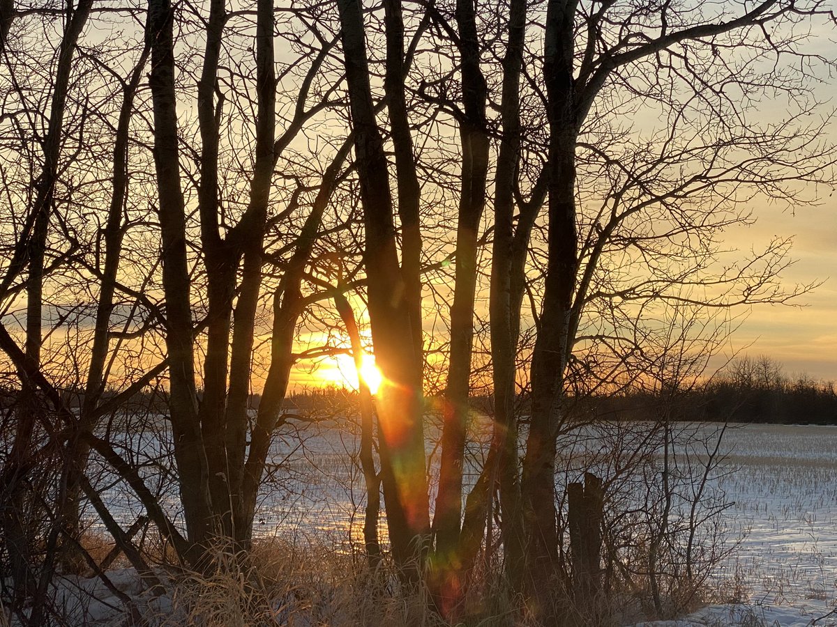 Carol Tonhauser tweet media