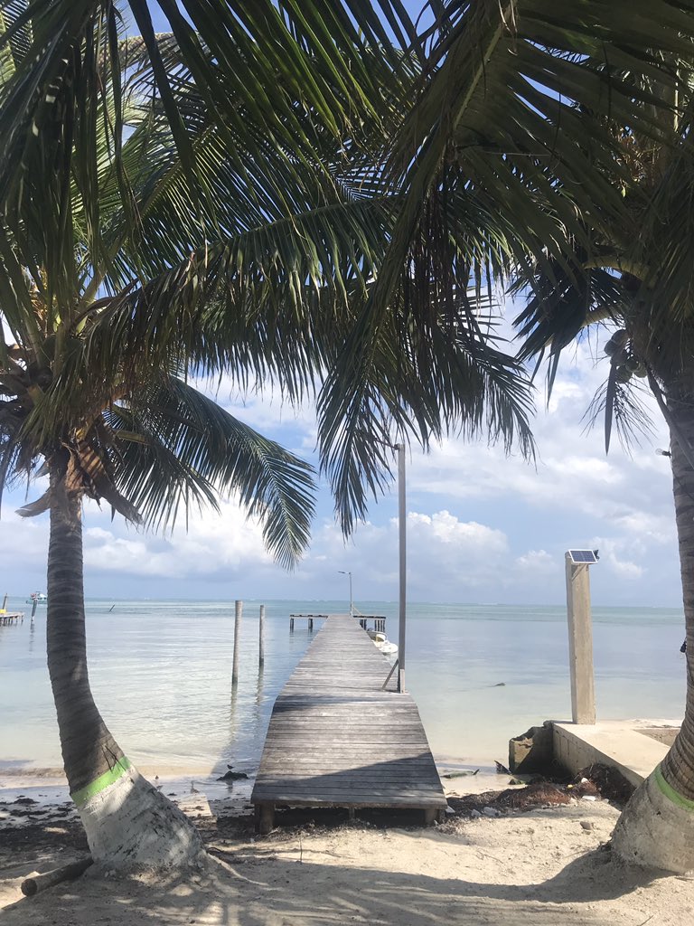 My favorite view from my new home 🥰