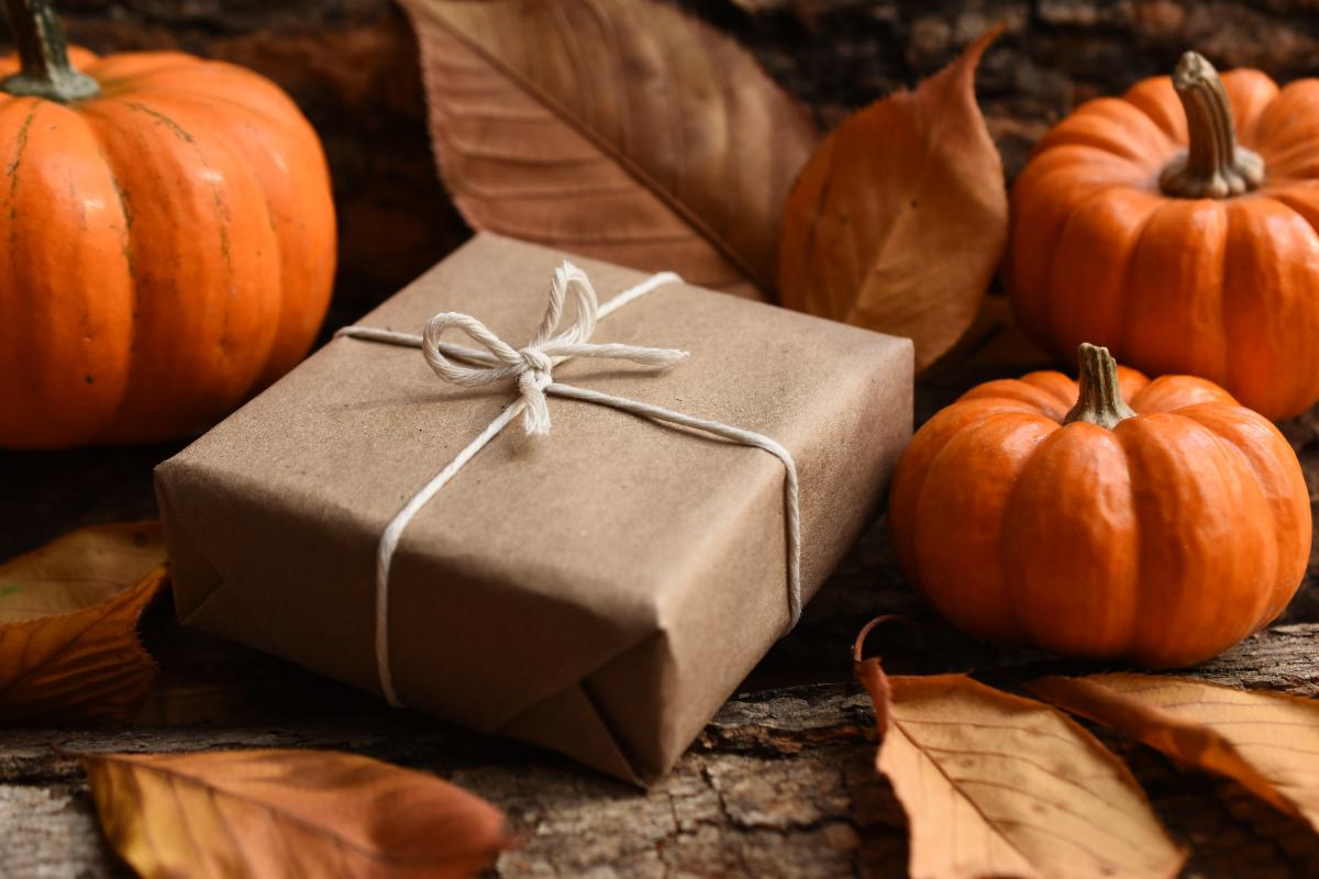 RogerChiefOwl's tweet photo. I am thankful for the work received because it tells me that people trust what I do.
I am thankful for the struggles because they will make me stronger.
I am thankful for still believing that the best days are yet to come.
Wishing you a safe and cozy Thanksgiving holiday! https://t.co/oe9GeR6wwS