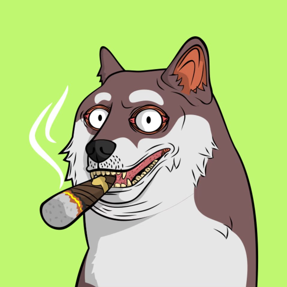 RealCryptonaut's tweet photo. @TheDogePoundNFT https://t.co/qbCqVdw285