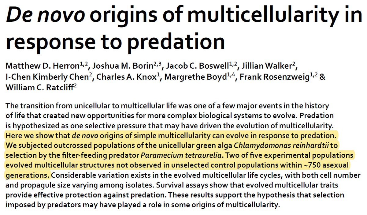 Steve Stewart-Williams tweet media