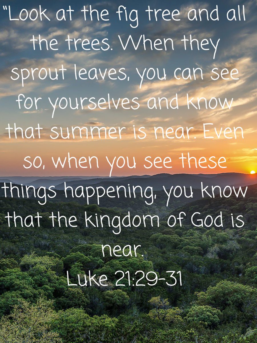 CatechistsGuide's tweet photo. He told them this parable: “Look at the fig tree and all the trees. When they sprout leaves, you can see for yourselves and know that summer is near. Even so, when you see these things happening, you know that the kingdom of God is near.
Luke 21:29-31 NIV https://t.co/NMh2rR179q