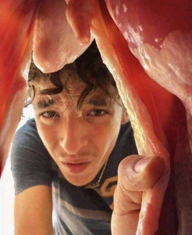 Toxxy✨ tweet media