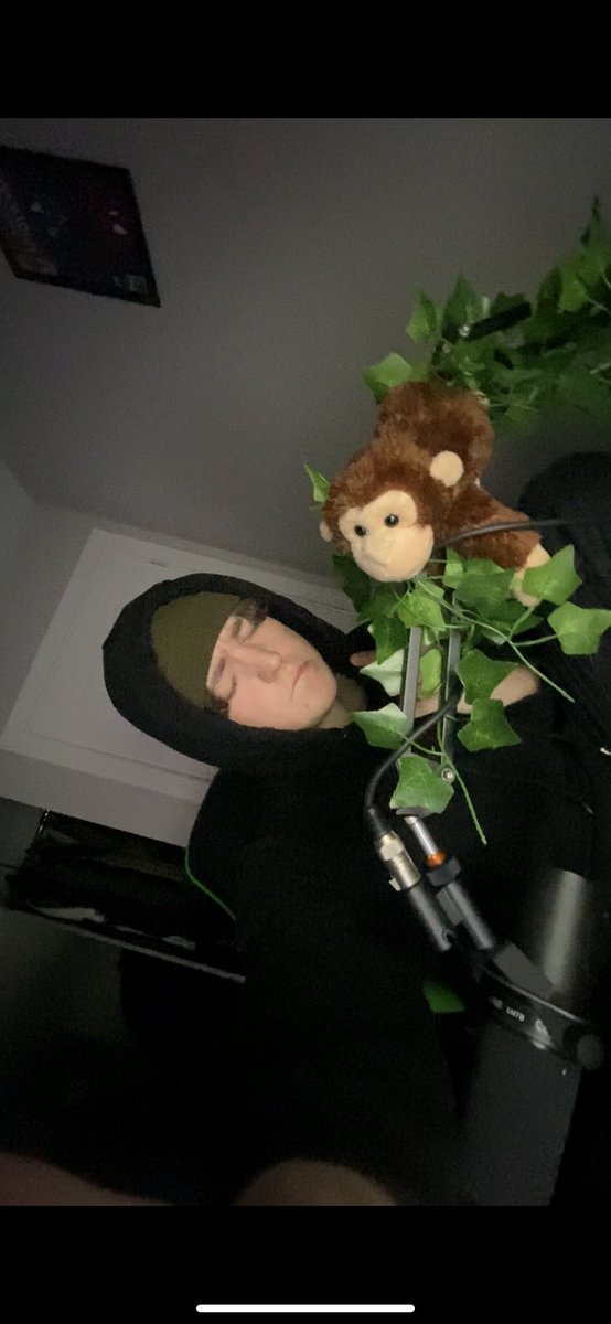 BeanieAlt tweet media