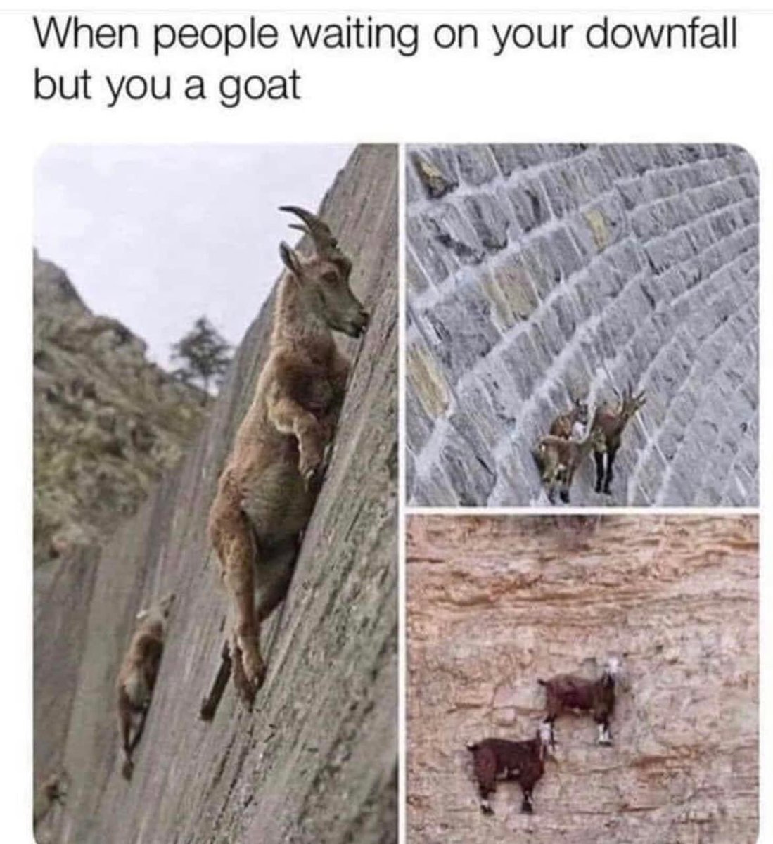 Deebz007's tweet photo. 🤷🏿‍♂️🤷🏿‍♂️🤷🏿‍♂️🤷🏿‍♂️🤫 https://t.co/DDl3uwEUB2
