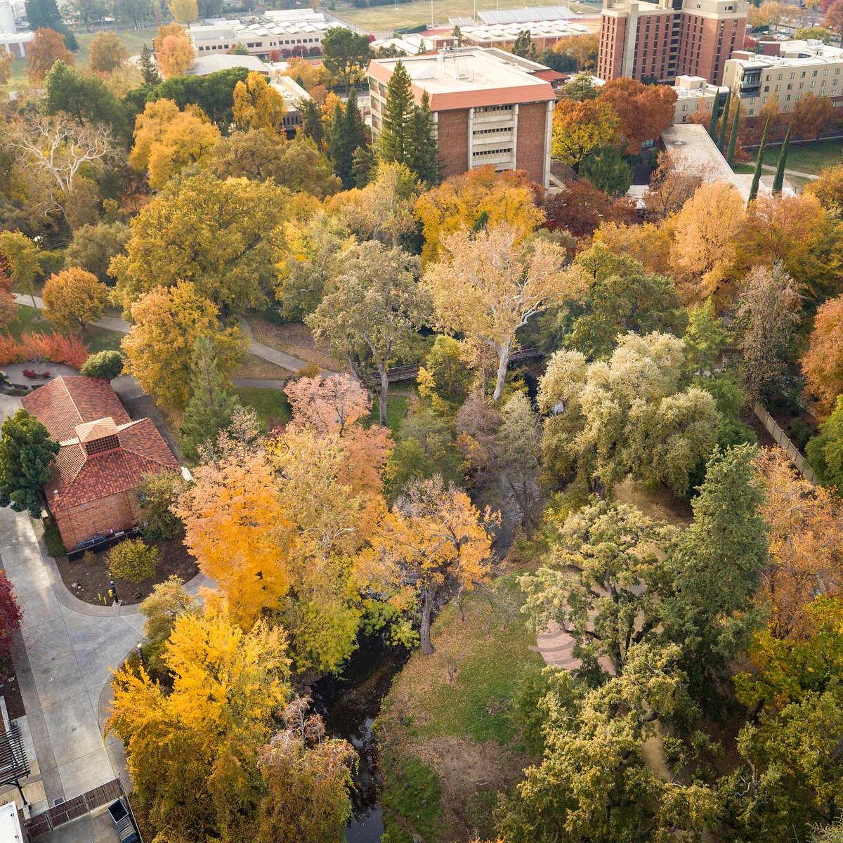JasonHalley_CSU's tweet image. I’m so thankful to work at a wonderfully beautiful campus @chicostate #ThisIsChico