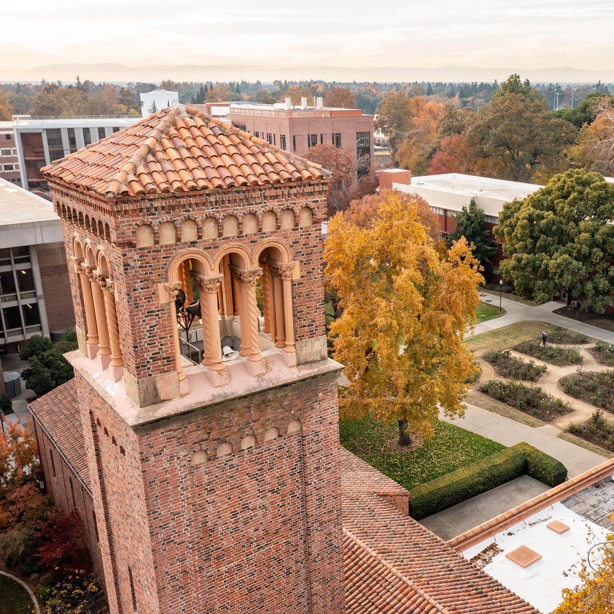 JasonHalley_CSU's tweet image. I’m so thankful to work at a wonderfully beautiful campus @chicostate #ThisIsChico