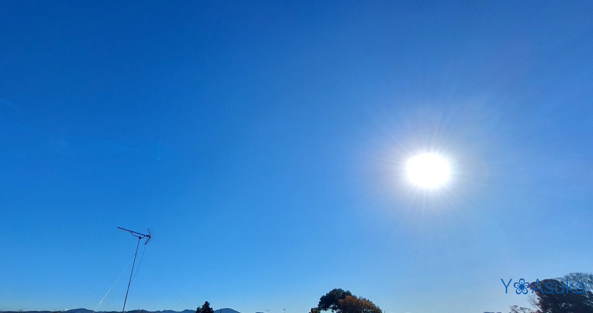 yumeasutw's tweet photo. 霧が晴れ #青空 にお日様燦々✨ #日光連山 が望める木曜日の朝☀️
#ミニバラ は #雫 を纏いしっとり🌹
予想最高/最低気温🌡️19℃/8℃
晴れのち曇り☀️→☁️
午後は北風が強く夕方は雲が多くなりそう🌬️➰➰
#空の名前
#天気の図鑑 #雲友の会
#薔薇 #バラ #Rose #庭花 #花 #Flower
#a2022 #a1124 #a202211 https://t.co/m2V3QKAmuX