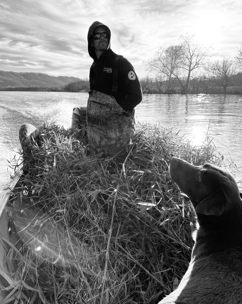 DMullinsfishing's tweet photo. Blind brushing day. Almost go time
#froggtoggs #waterfowl #duckgroceries #easttnduckhunting #easttnwaterfowl #duckhunting #tnducks #foodplot #fowlhabitsfarm #fowlhabits #avianxdecoys #bossshotshells #ducksunlimited #deltawaterfowl #ducks #seewhatsoutthere #costadelmarsunglasses https://t.co/OMEzWBvjnO