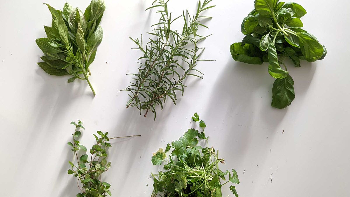 SimpleSimpleAds's tweet image. Third week of November and we&apos;re still pulling herbs, peppers, and tomatoes out of the rooftop #greenhouse ... It&apos;s a pretty fun place to work. If you have an idea, chase it!