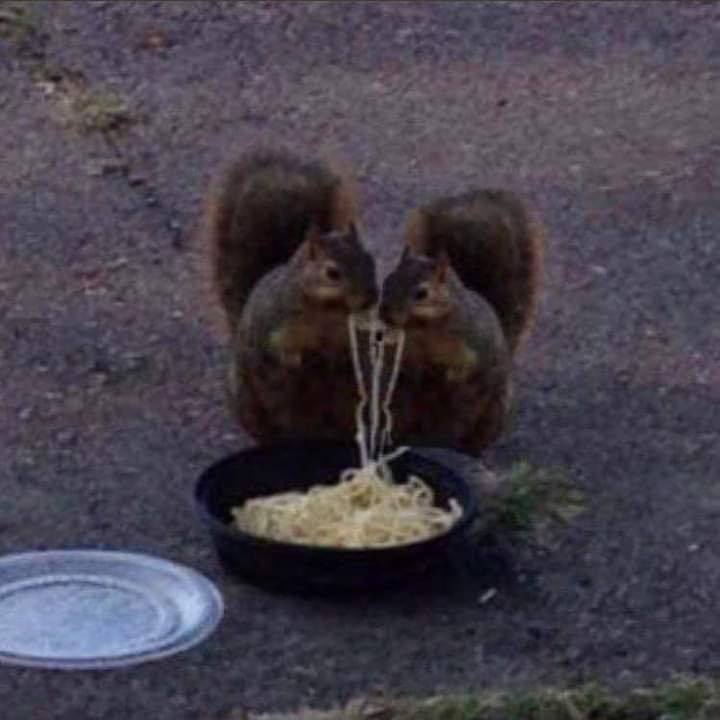 nxstypxet's tweet photo. perfect date https://t.co/3VyVBd9rR5
