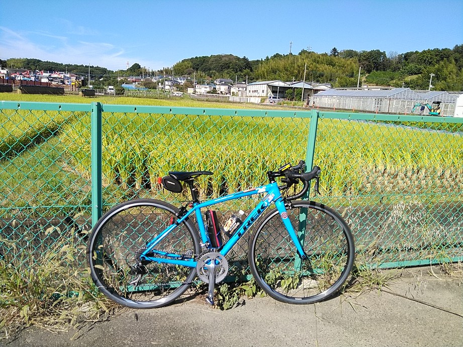 giant tcr or trek emonda