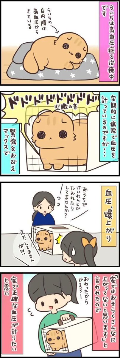 お家はやっぱりリラックスできるのね。気になる愛猫の血圧を測ってみた!【連載】もふもふスコたん#253|ねこのきもちWEB MAGAZINE https://t.co/lnA63ysE6c