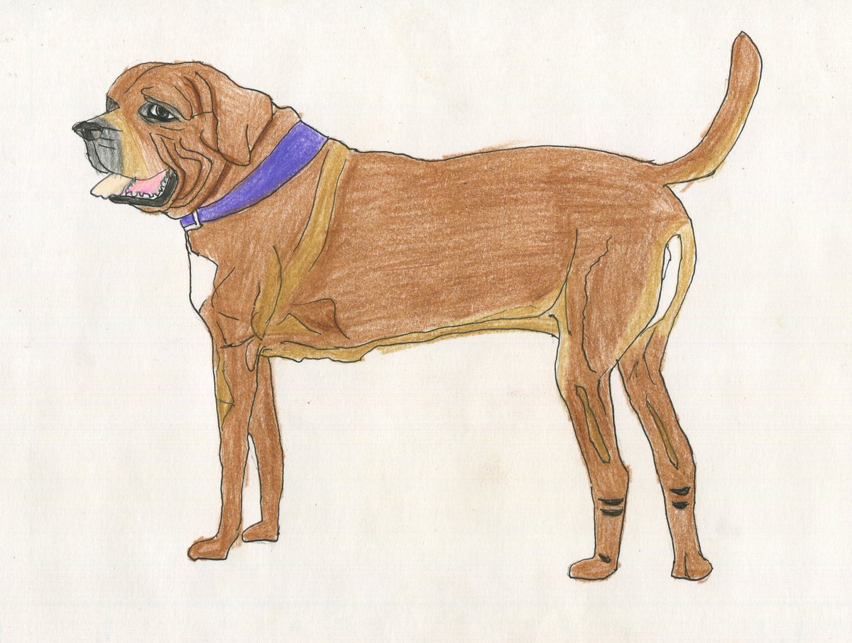 土佐犬 のイラスト マンガ作品 13 件 Twoucan