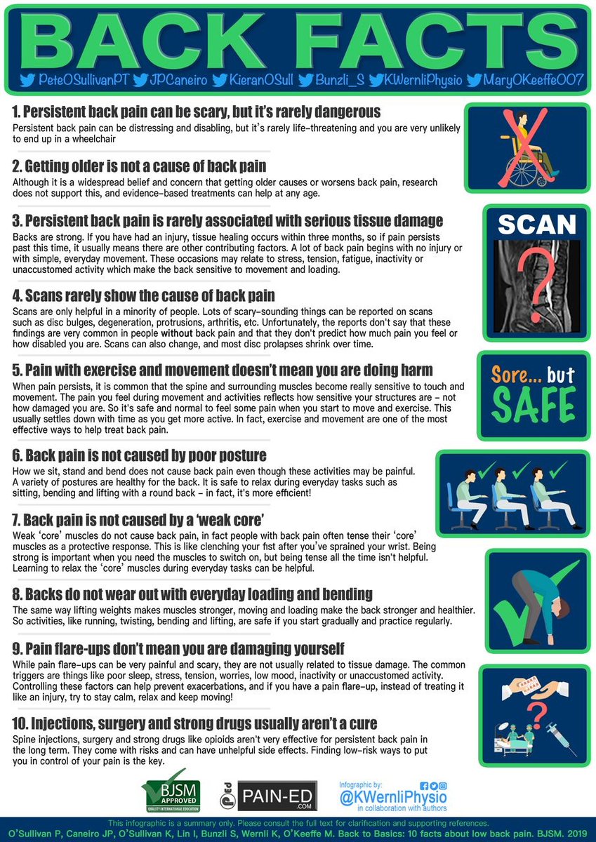 ✅ 10 facts every person should know about back pain Thank you @kieranosull @KWernliPhysio @MaryOKeeffe007 @PeteOSullivanPT @jpcaneiro @BJSM_BMJ 🔗 bjsm.bmj.com/content/54/12/…