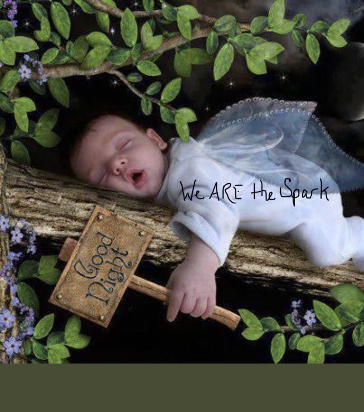 Night😴 @InjunJoe2726 @Pat10th @PSwal807 @MacyStotty @Faith61745535 @PiperQ45 @CASRCO @CL4WS_OUT @DCDRETIREDBLUE @Sweet_T2021 @Serenityin24 @itismeindy500 @thefattestbob @EMastrro @pixie1z @DixiDarlen @PaulaRed62 @LindaNTx @ruby58293 @texasrecks @ItallionTony @Larry_Sue @genuke1