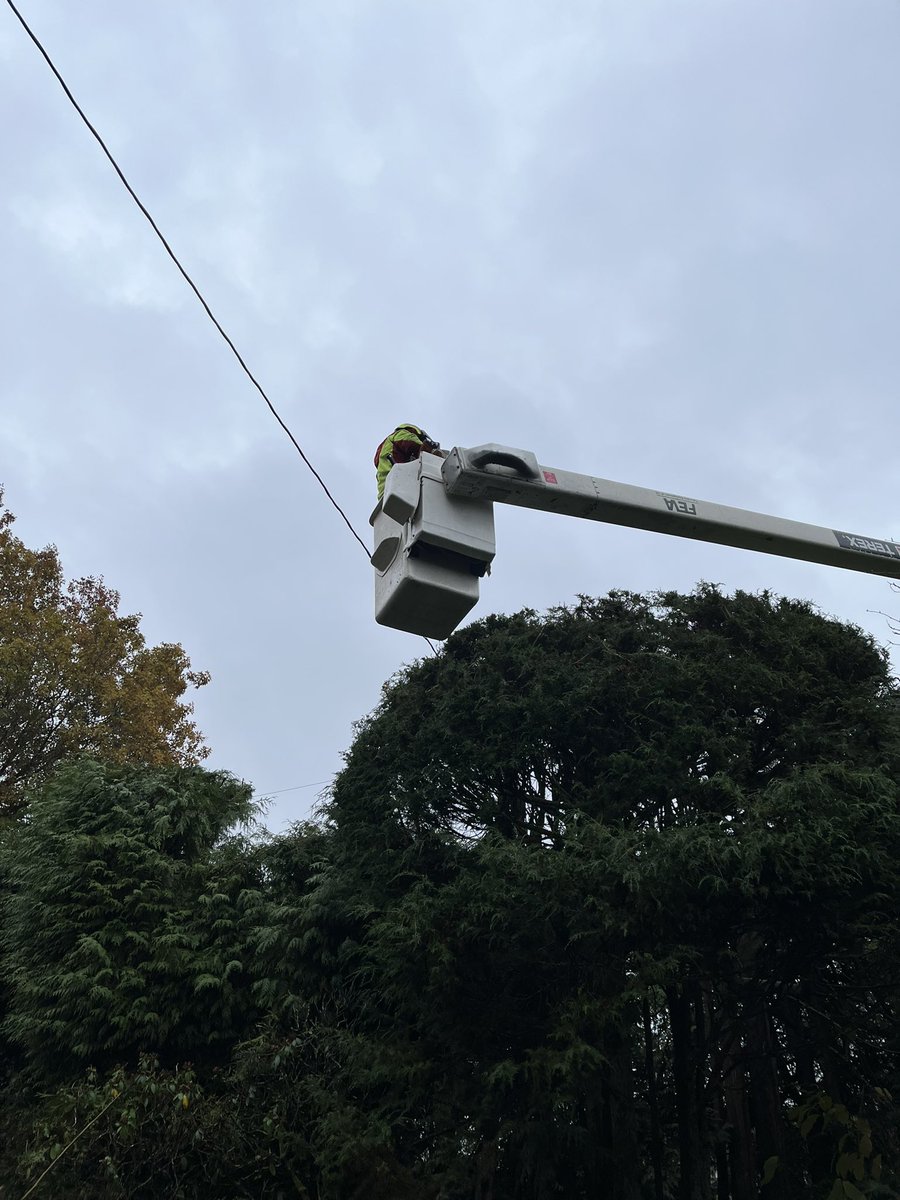 YVR Tree Care tweet media