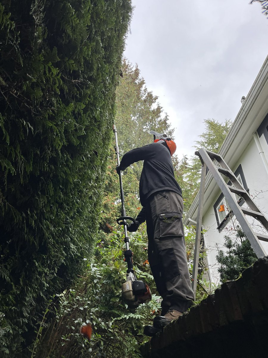 YVR Tree Care tweet media