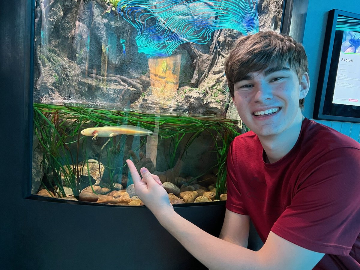 Gayass Gearhead tweet media