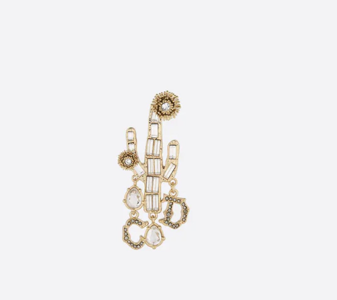this cactus jack dior brooch is 720$ 😀🥶🤌🏻 #HARUTO #하루토