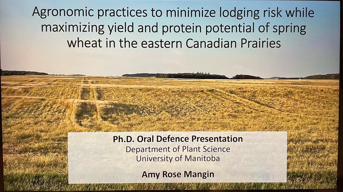 Amy Delaquis (Mangin) tweet media