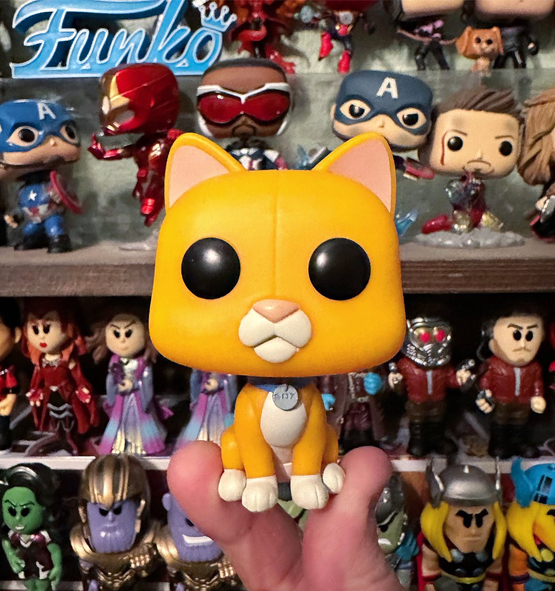 megstocker's tweet photo. I love Sox. 💙🐱🤖💙

👑 : @OriginalFunko 
📷 : Character Highlight 
🌟 : Sox

#funko #sox #lightyear #sidekick #bestsidekick #cat #robotcat #pixar #disney #funkodisney #fotw #coloradofunko https://t.co/ZNLzT1DJpa