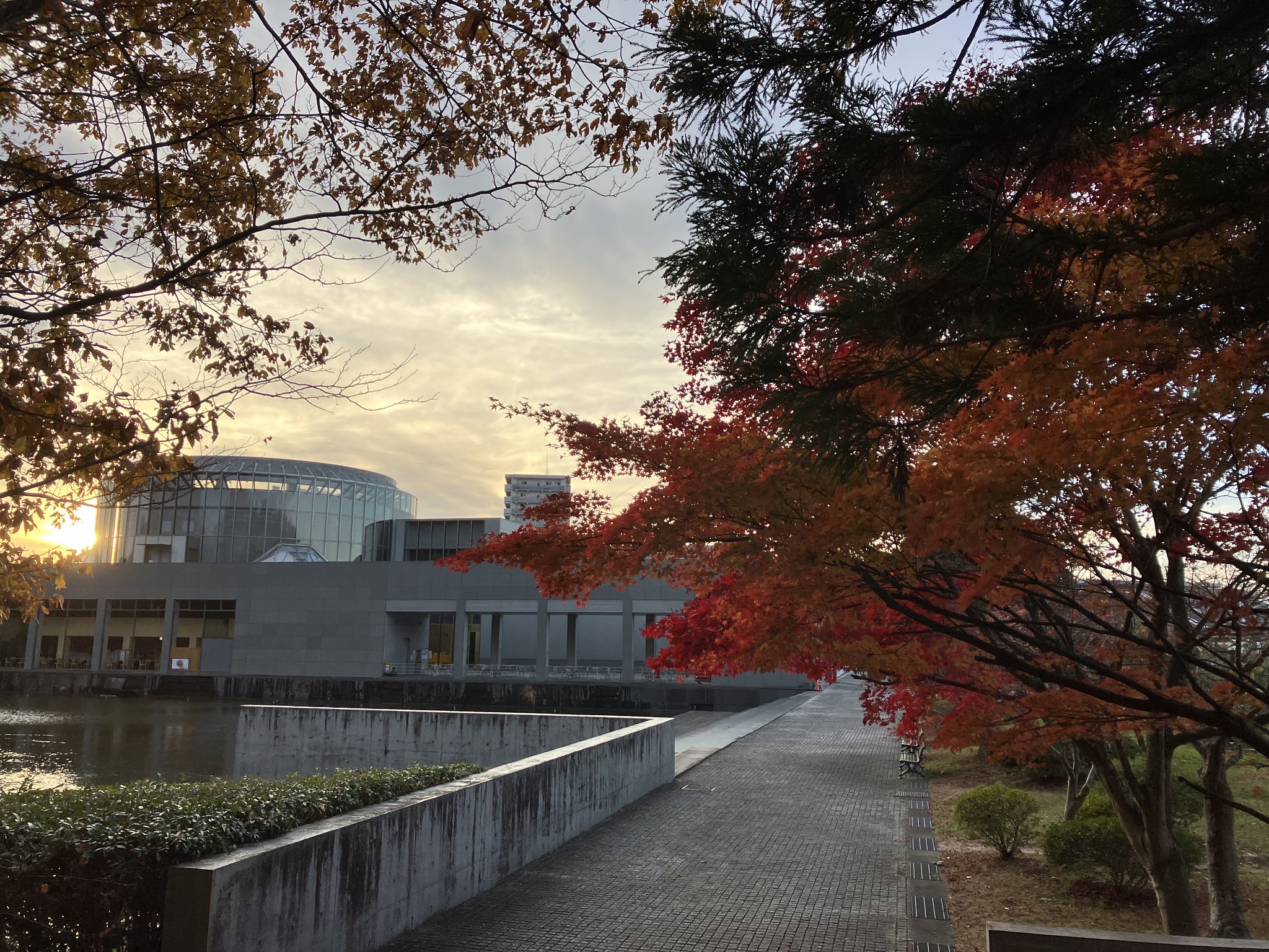 東北歴史博物館 特別展「みちのくのサムライたち 東北武士の系譜」11月27日(日)まで on Twitter