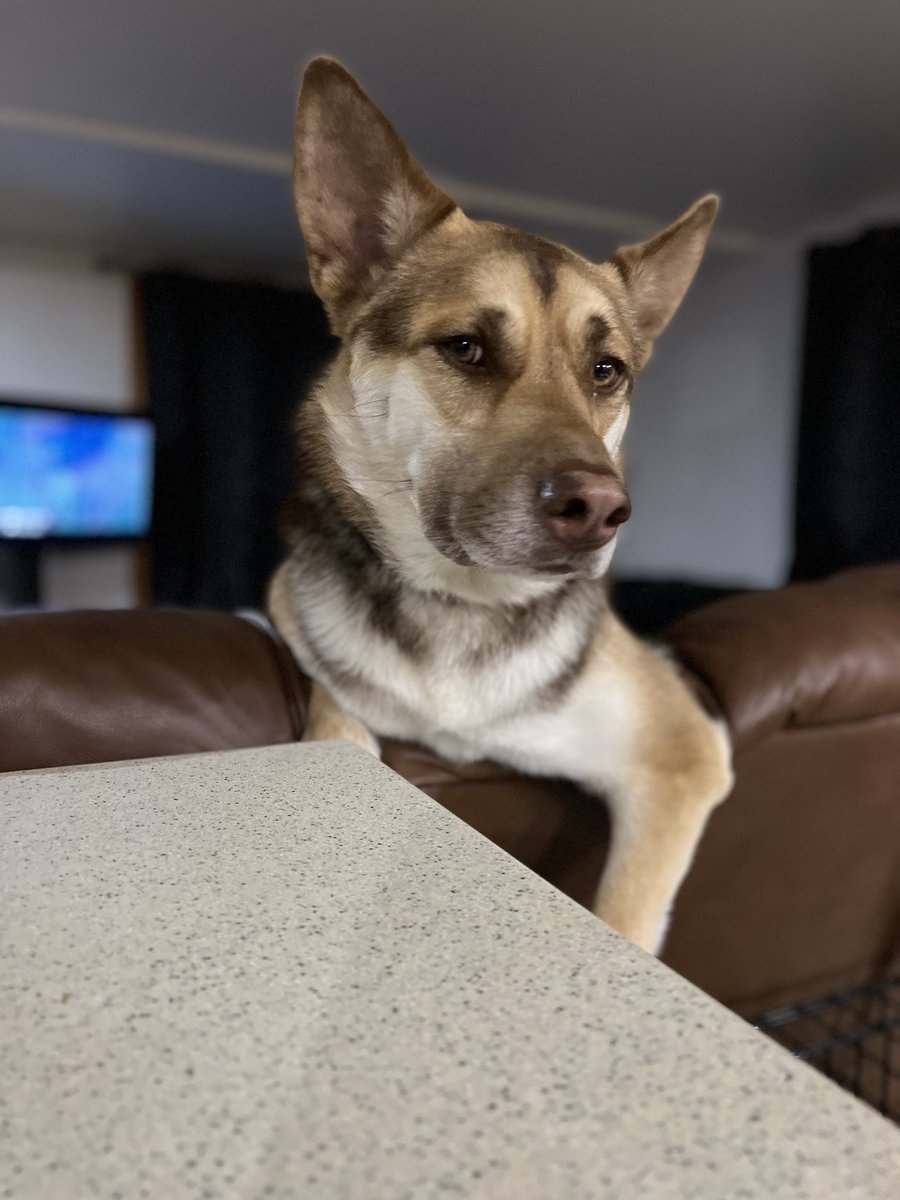 Nick Hempel tweet media