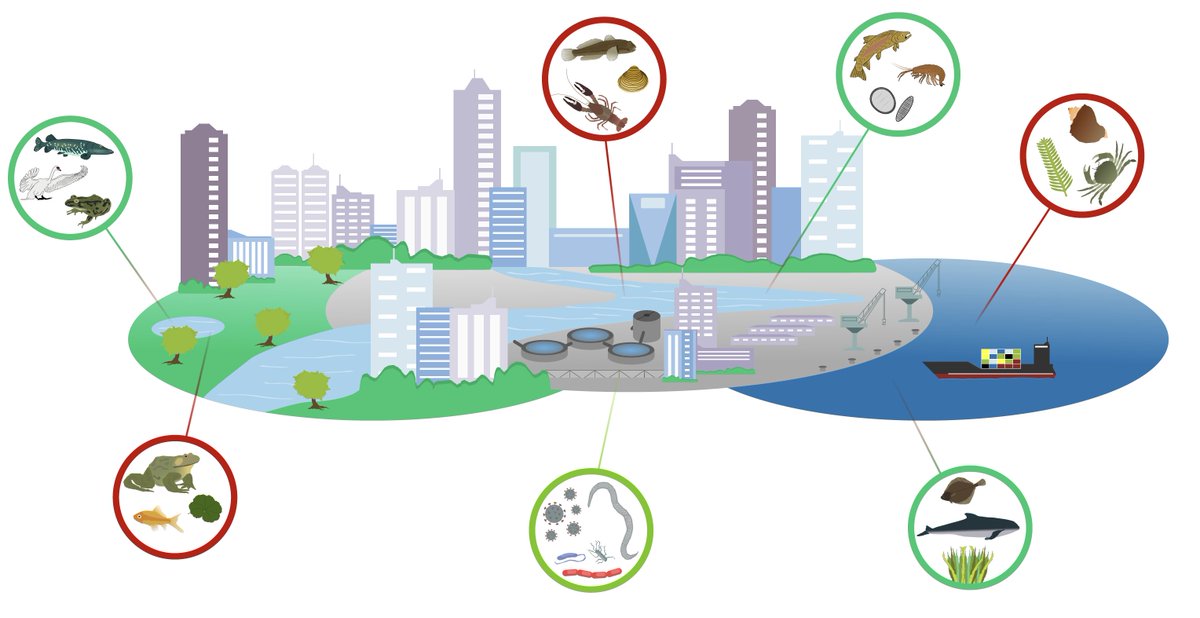 Florian Leese (@leeselab) on Twitter photo 5/11 eDNAsurveys provide insights on many aspects #bluegreenbiodiversity #invasivespecies #restoration #pathogens e.g. we found re-migration of a fish to be much faster than expected.
👉doi.org/10.3389/fevo.2…
#Urban overview paper transcript-open.de/doi/10.14361/9…
doi.org/10.1007/s10750… 5/11 eDNAsurveys provide insights on many aspects #bluegreenbiodiversity #invasivespecies #restoration #pathogens e.g. we found re-migration of a fish to be much faster than expected.
👉doi.org/10.3389/fevo.2…
#Urban overview paper transcript-open.de/doi/10.14361/9…
doi.org/10.1007/s10750…
