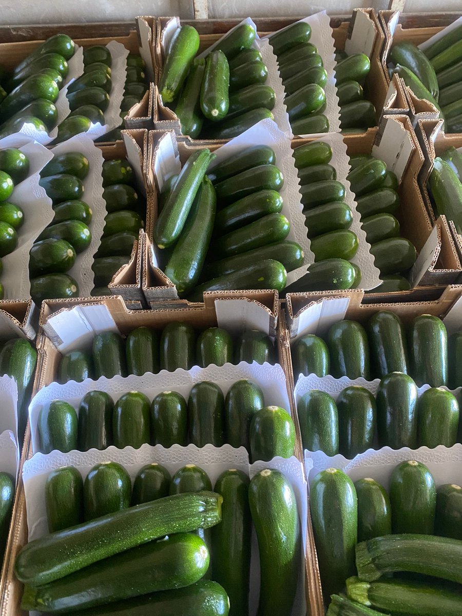 NaturaFirst's tweet photo. Courgettes✅, Red Chillies🌶️, Red Habaneros 🥵&amp; Heritage Mix Toms🍅 now with us🚚! Place your order🗒️ and start enjoying 😋 #NicolasGarden #Chillicious https://t.co/5S406YoXGh