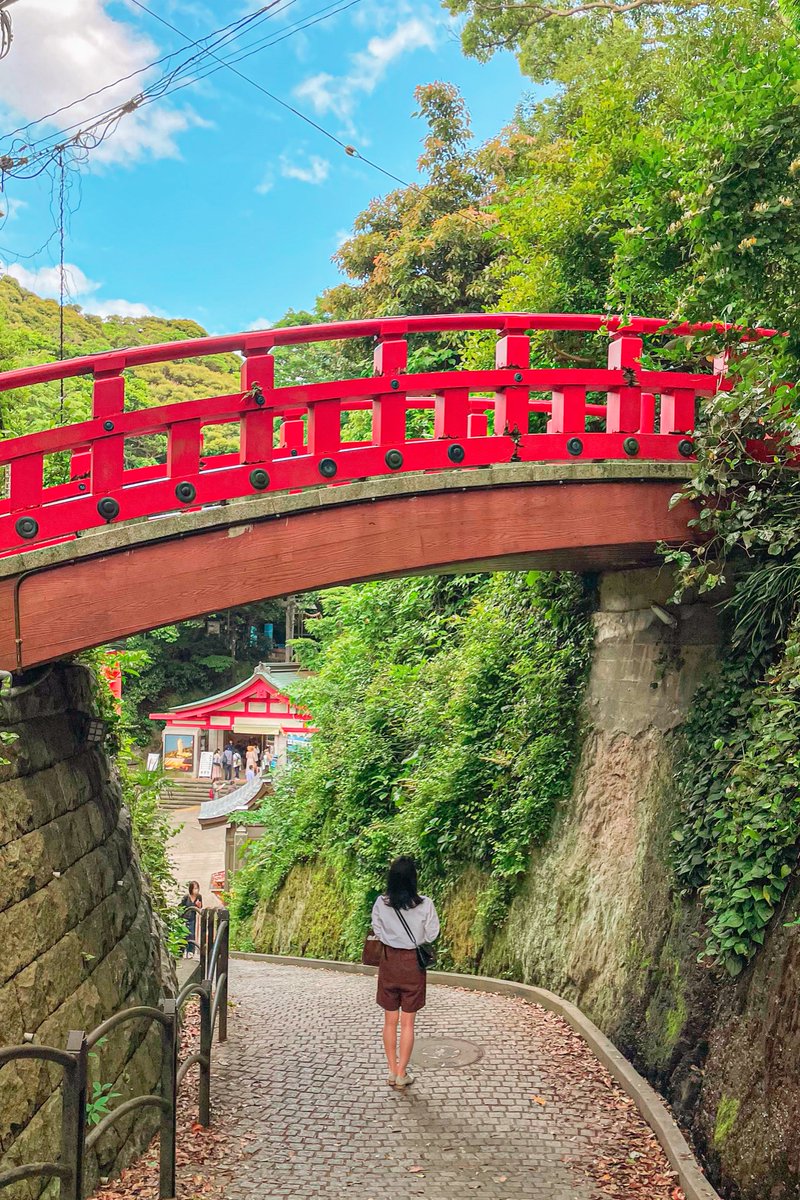 アニメのワンシーンのような世界が江ノ島にありました